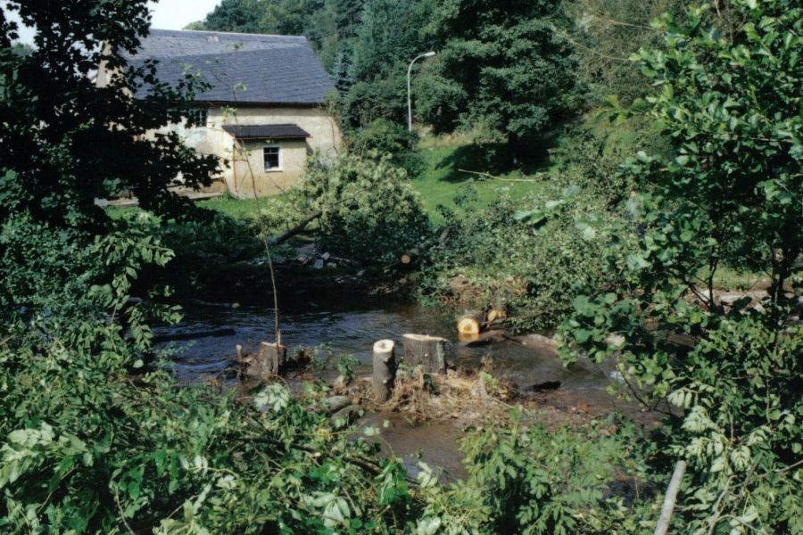 2002 - Elbeflut in Mulda/Sachsen